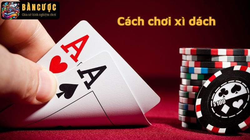 Cách chơi xì dách dễ hiểu cho người mới bắt đầu