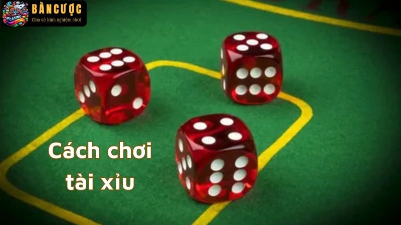 Cách chơi tài xỉu - Mẹo hay từ cao thủ