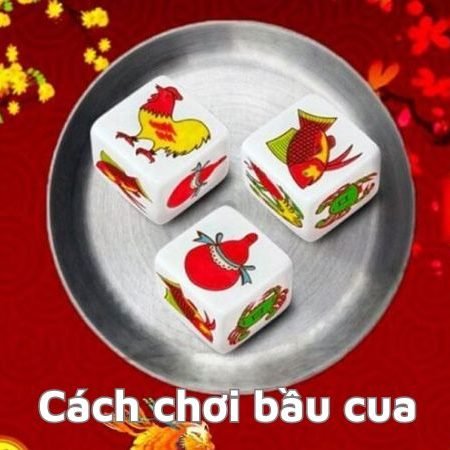 Hướng dẫn chi tiết cách chơi bầu cua và những mẹo nhỏ giúp tăng tỷ lệ thắng