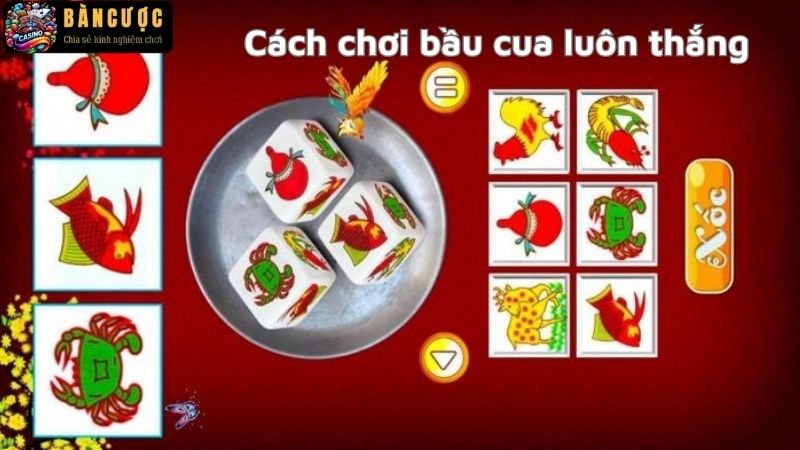 Cách chơi bầu cua luôn thắng - Bí kíp không thể bỏ qua