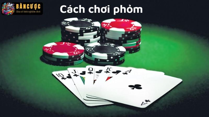 Cách chơi phỏm dành cho người mới bắt đầu