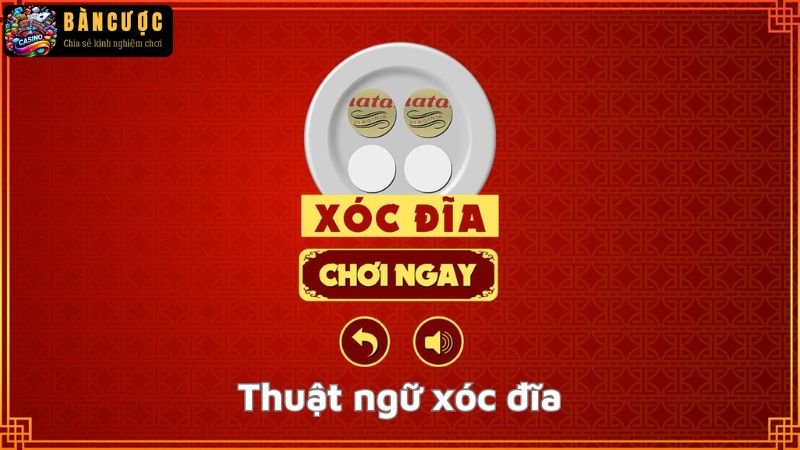 Lợi ích của việc hiểu các thuật ngữ xóc đĩa