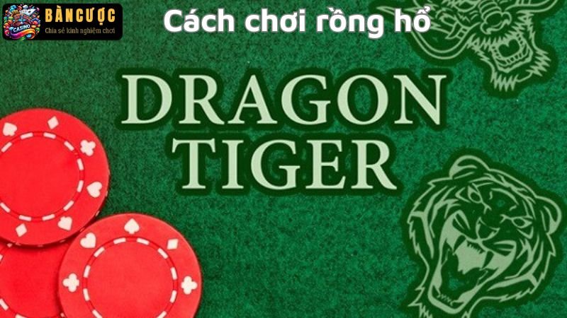 Cách chơi rồng hổ