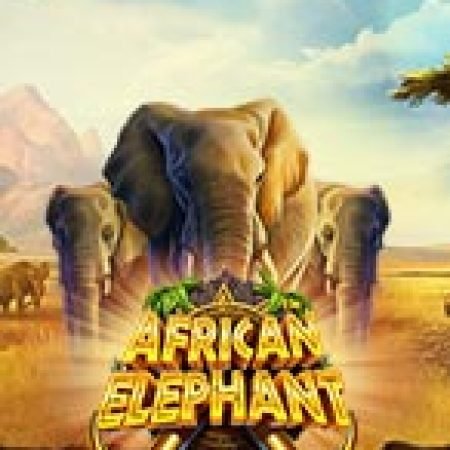 Khám Phá Voi Rừng Châu Phi – African Elephant Slot: Trải Nghiệm Game Slot Huyền Bí