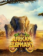 Khám Phá Voi Rừng Châu Phi – African Elephant Slot: Trải Nghiệm Game Slot Huyền Bí