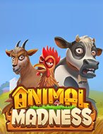 Cách Chinh Phục Bò Điên – Animal Madness Slot: Chiến Lược và Hướng Dẫn