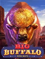 Cách Chinh Phục Big Buffalo Slot: Chiến Lược và Hướng Dẫn