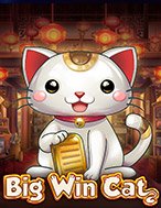 Mèo May Mắn – Big Win Cat Slot: Hướng Dẫn Đầy Đủ Từ A đến Z Cho Người Mới