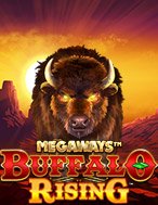 Buffalo Rising Megaways Slot: Hướng Dẫn Đầy Đủ Từ A đến Z Cho Người Mới