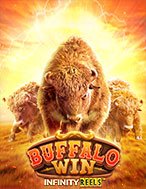 Chơi Cuộc Chiến Hoang Dã – Buffalo Win Slot Ngay Hôm Nay – Phiêu Lưu Đến Thế Giới Kỳ Diệu!