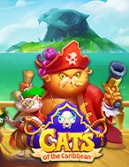 Cách Chinh Phục Mèo Vùng Carribbean – Cats of the Caribbean Slot: Chiến Lược và Hướng Dẫn