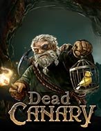 Chơi Chết Chóc – Dead Canary Slot Ngay Hôm Nay – Phiêu Lưu Đến Thế Giới Kỳ Diệu!