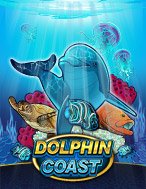 Cách Chinh Phục Kho Báu Cá Heo – Dolphin Coast Slot: Chiến Lược và Hướng Dẫn