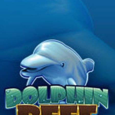 Cách Chinh Phục Dolphin Reef Slot: Chiến Lược và Hướng Dẫn