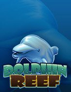 Cách Chinh Phục Dolphin Reef Slot: Chiến Lược và Hướng Dẫn