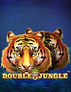 Chơi Double Jungle Slot Ngay Hôm Nay – Phiêu Lưu Đến Thế Giới Kỳ Diệu!