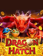 Chơi Kho Báu Rồng – Dragon Hatch Slot Ngay Hôm Nay – Phiêu Lưu Đến Thế Giới Kỳ Diệu!