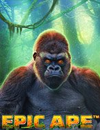 Epic Ape Slot: Hướng Dẫn Đầy Đủ Từ A đến Z Cho Người Mới