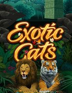 Chơi Chúa Sơn Lâm – Exotic Cats Slot Ngay Hôm Nay – Phiêu Lưu Đến Thế Giới Kỳ Diệu!