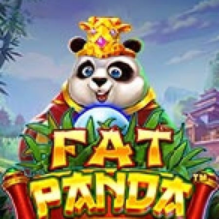 Gấu Béo Panda – Fat Panda Slot: Hướng Dẫn Đầy Đủ Từ A đến Z Cho Người Mới