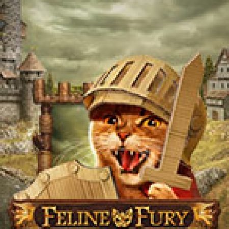 Chơi Chú Mèo Tức Giận – Feline Fury Slot Ngay Hôm Nay – Phiêu Lưu Đến Thế Giới Kỳ Diệu!