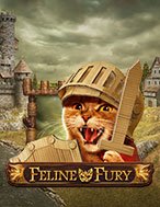 Chơi Chú Mèo Tức Giận – Feline Fury Slot Ngay Hôm Nay – Phiêu Lưu Đến Thế Giới Kỳ Diệu!