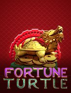 Cách Chinh Phục Fortune Turtle Slot: Chiến Lược và Hướng Dẫn