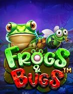 Khám Phá Ếch Xanh Và Bầy Côn Trùng – Frogs & Bugs Slot: Trải Nghiệm Game Slot Huyền Bí