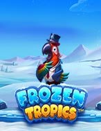 Khám Phá Mùa Đông Nhiệt Đới – Frozen Tropics Slot: Trải Nghiệm Game Slot Huyền Bí