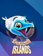 Đánh Giá Galapagos Islands Slot: Kỳ Quan Game Slot Mới Nhất