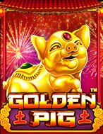 Chú Lợn Vàng – Golden Pig Slot: Hướng Dẫn Chi Tiết Để Thắng Lớn và Giành Jackpot!