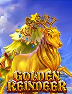 Golden Reindeer Slot: Hướng Dẫn Chi Tiết Để Thắng Lớn và Giành Jackpot!