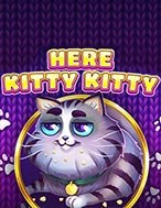 Cách Chinh Phục Mèo Con Ngỗ Ngược – Here Kitty Kitty Slot: Chiến Lược và Hướng Dẫn