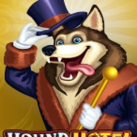 Khách Sạn Vui Nhộn – Hound Hotel Slot: Hướng Dẫn Đầy Đủ Từ A đến Z Cho Người Mới