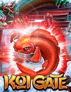 Koi Gate Slot: Hướng Dẫn Đầy Đủ Từ A đến Z Cho Người Mới