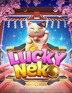 Chú Mèo Thần Tài – Lucky Neko Slot: Hướng Dẫn Đầy Đủ Từ A đến Z Cho Người Mới