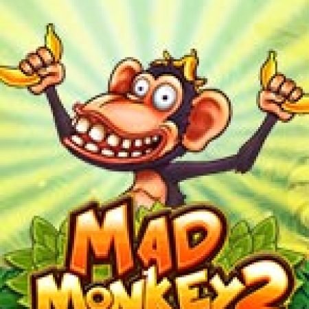 Cách Chinh Phục Mad Monkey 2 Slot: Chiến Lược và Hướng Dẫn