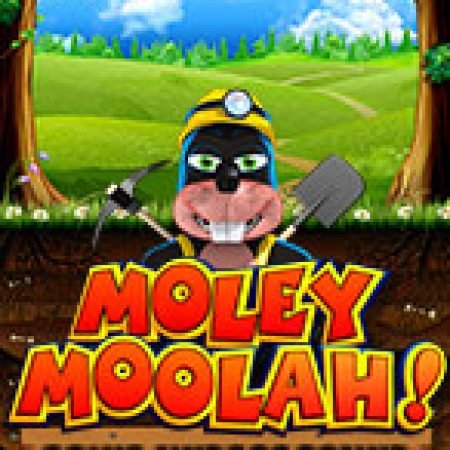 Moley Moolah Slot: Hướng Dẫn Đầy Đủ Từ A đến Z Cho Người Mới