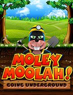 Moley Moolah Slot: Hướng Dẫn Đầy Đủ Từ A đến Z Cho Người Mới