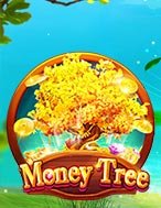 Chơi Money Tree Slot Ngay Hôm Nay – Phiêu Lưu Đến Thế Giới Kỳ Diệu!