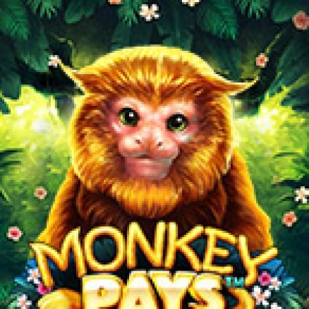 Monkey Pays Slot: Hướng Dẫn Đầy Đủ Từ A đến Z Cho Người Mới