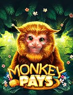 Monkey Pays Slot: Hướng Dẫn Đầy Đủ Từ A đến Z Cho Người Mới