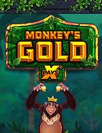 Chơi Khỉ Vàng – xPays – Monkey’s Gold xPays Slot Ngay Hôm Nay – Phiêu Lưu Đến Thế Giới Kỳ Diệu!