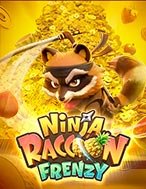 Ninja Gấu Mèo – Ninja Raccoon Frenzy Slot: Hướng Dẫn Đầy Đủ Từ A đến Z Cho Người Mới