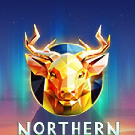 Northern Sky Slot: Hướng Dẫn Đầy Đủ Từ A đến Z Cho Người Mới