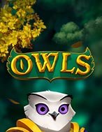 Cú Đêm – Owls Slot: Hướng Dẫn Chi Tiết Để Thắng Lớn và Giành Jackpot!