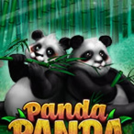 Panda Panda Slot: Hướng Dẫn Đầy Đủ Từ A đến Z Cho Người Mới