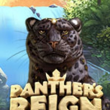 Panther’s Reign Slot: Hướng Dẫn Đầy Đủ Từ A đến Z Cho Người Mới