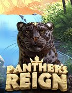 Panther’s Reign Slot: Hướng Dẫn Đầy Đủ Từ A đến Z Cho Người Mới