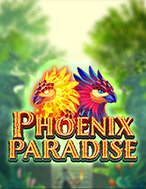 Chơi Phoenix Paradise Slot Ngay Hôm Nay – Phiêu Lưu Đến Thế Giới Kỳ Diệu!